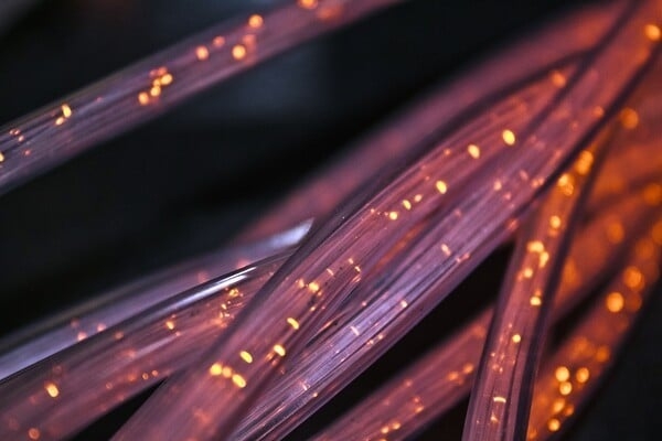 f087910ec2ab7c91ab5ef74b8c9f4405
